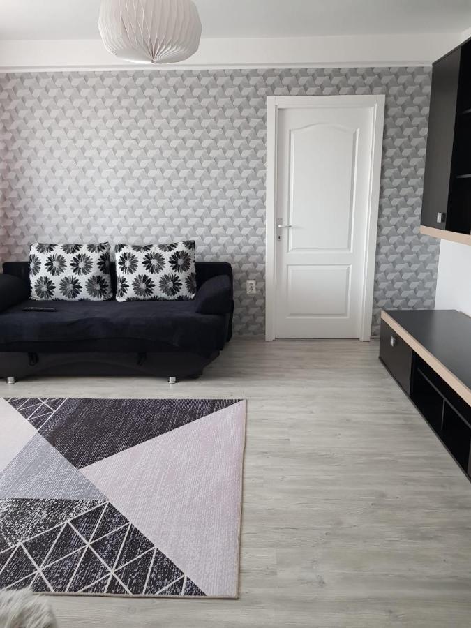 Ana Apartament Ramnicu Valcea Ngoại thất bức ảnh
