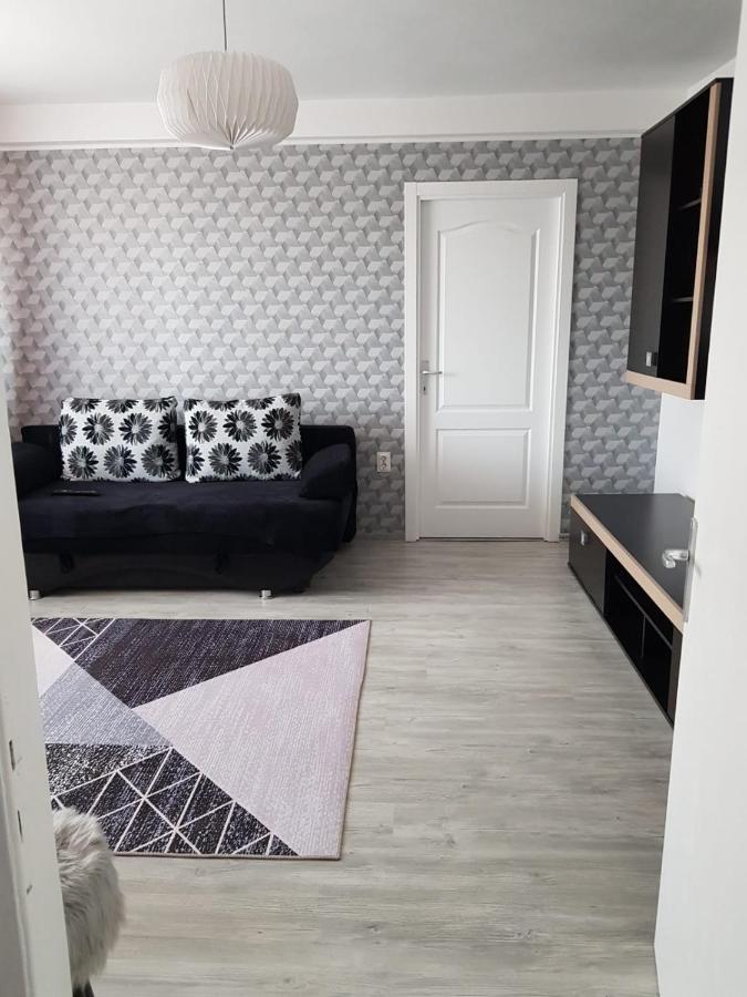 Ana Apartament Ramnicu Valcea Ngoại thất bức ảnh